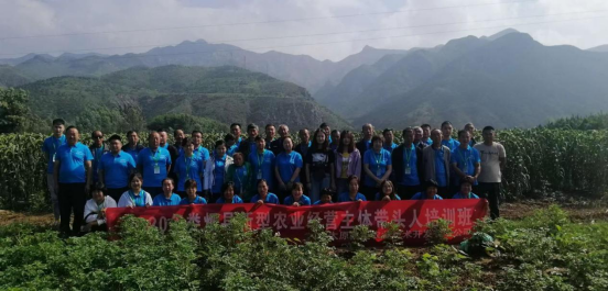 娄烦县旺鑫种植专业合作社