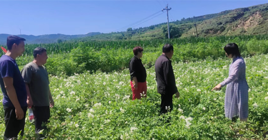 娄烦县益峰农牧专业合作社