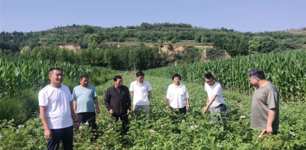娄烦县常春农机服务专业合作社