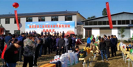 娄烦县永和种植专业合作社